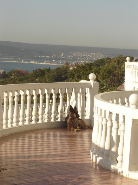 Family Hotel Casablanca Green Varna ภายนอก รูปภาพ